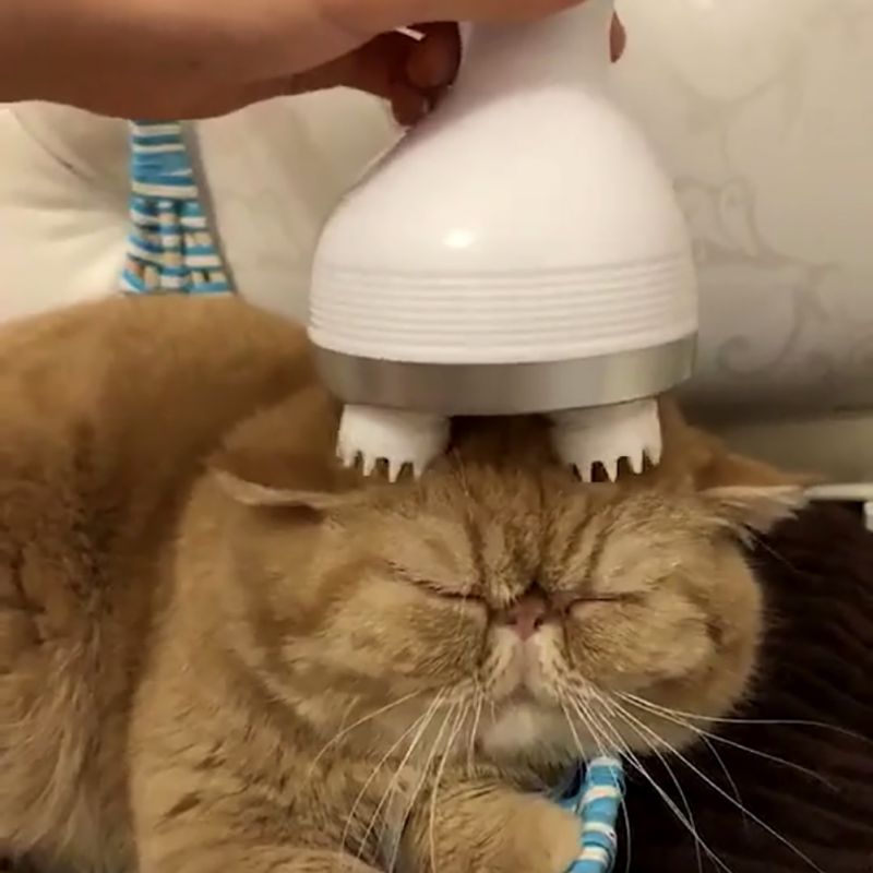Pets 3D Head Massager
